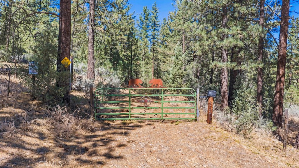11753 Tanglefoot Lane