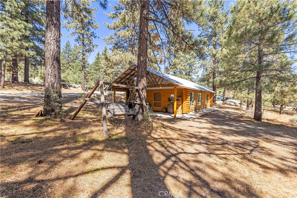 11753 Tanglefoot Lane