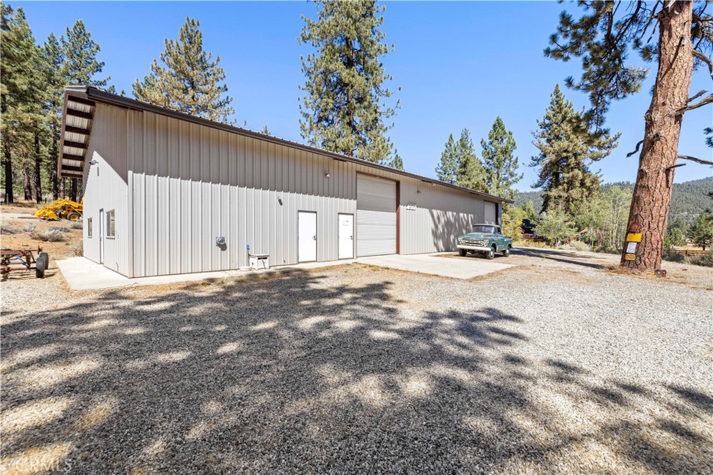 11753 Tanglefoot Lane