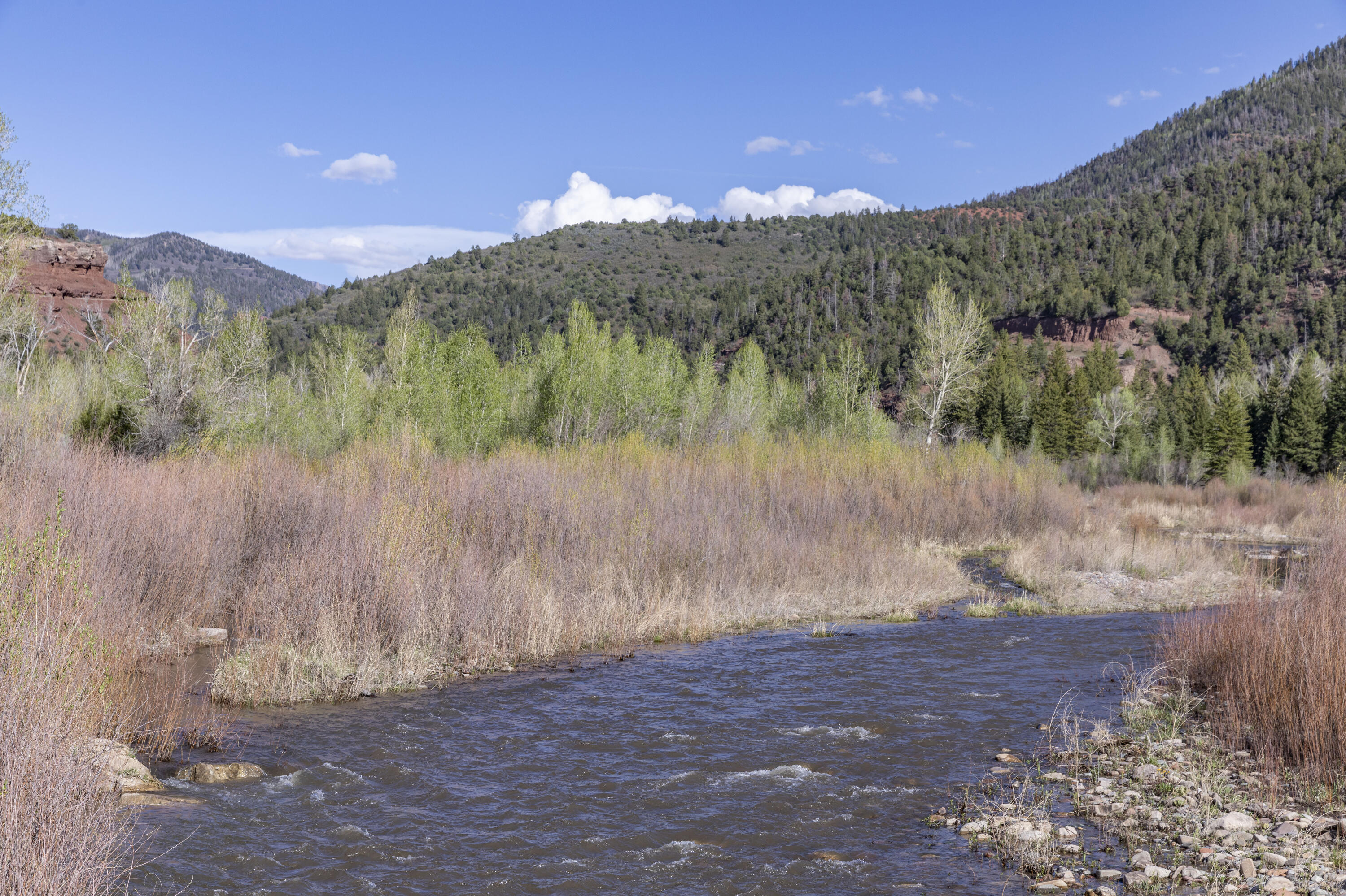 26001 Highway 145
