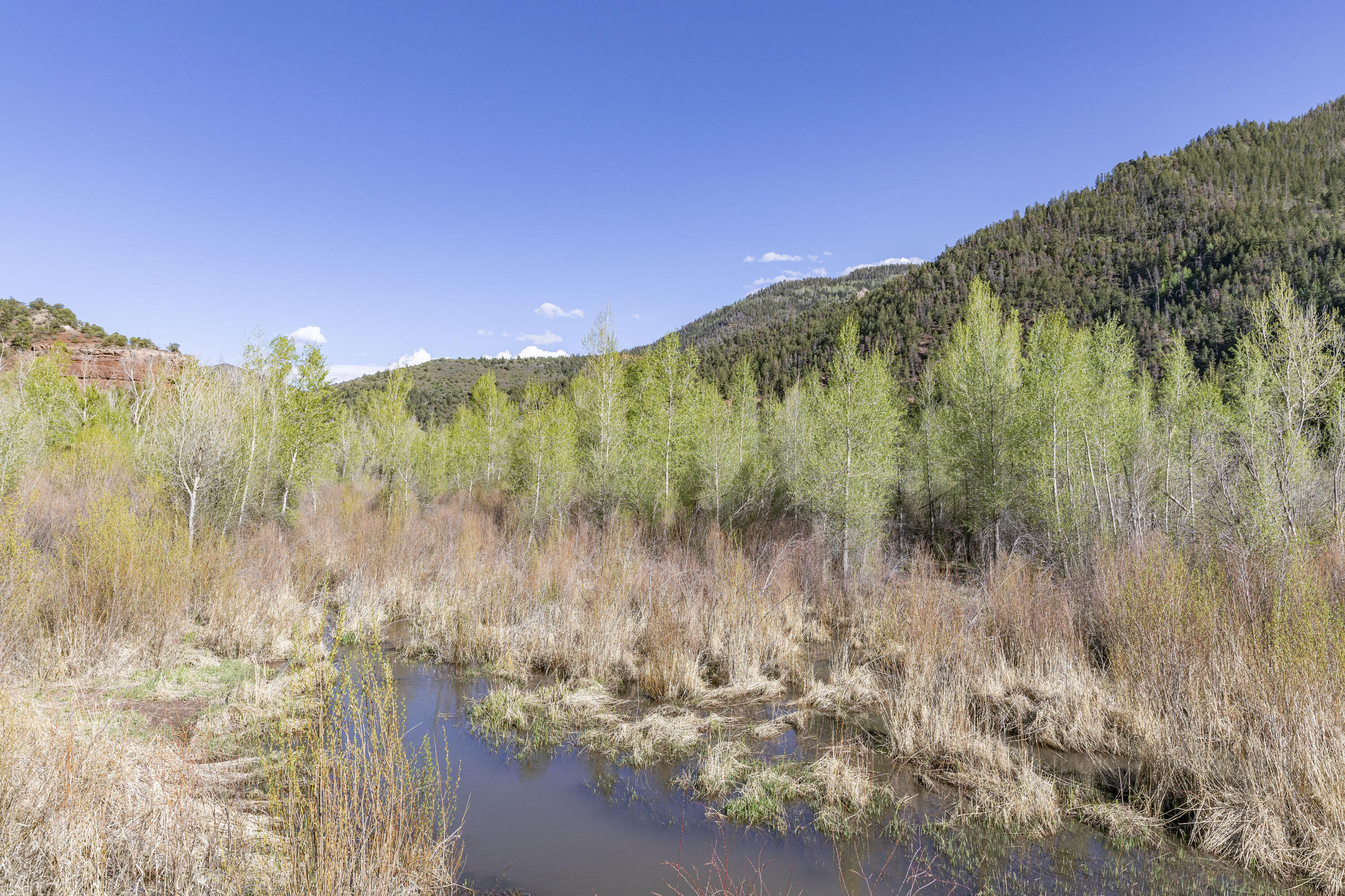 26001 Highway 145