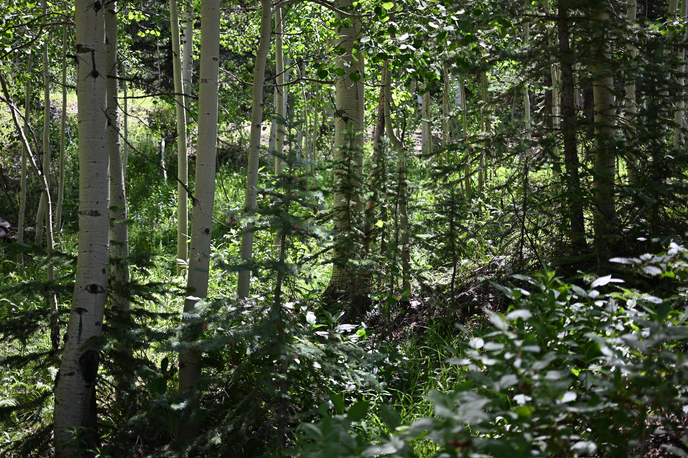 134 N Garfield Street