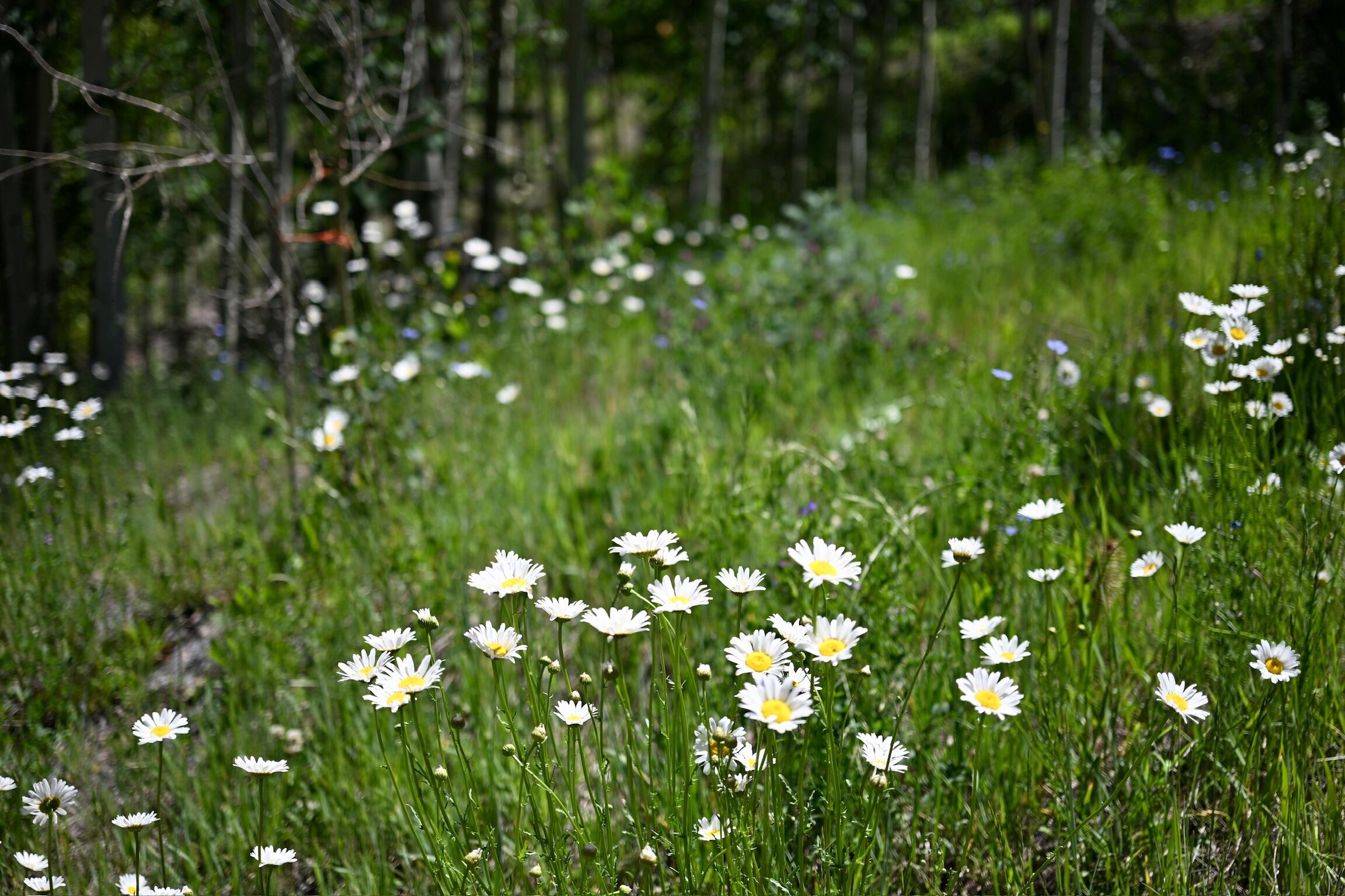 134 N Garfield Street