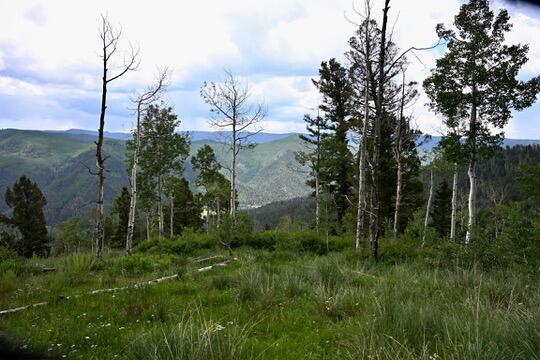 TBD Highway 145