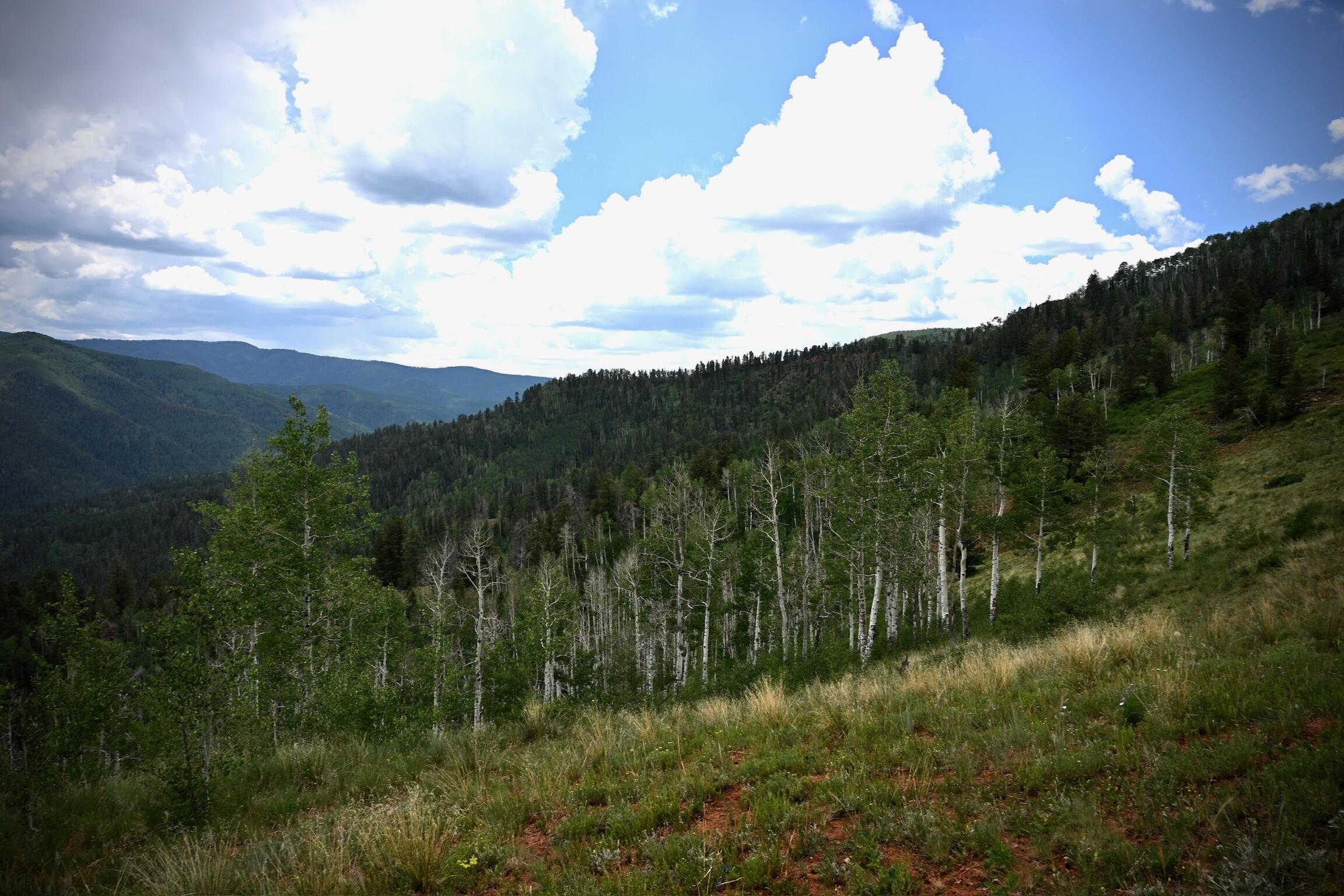 TBD Highway 145