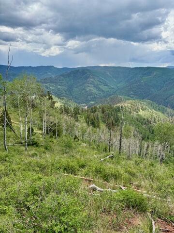 TBD Highway 145