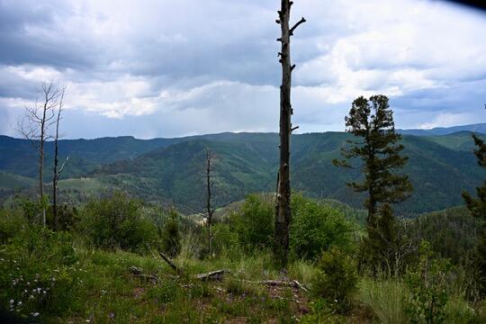 TBD Highway 145