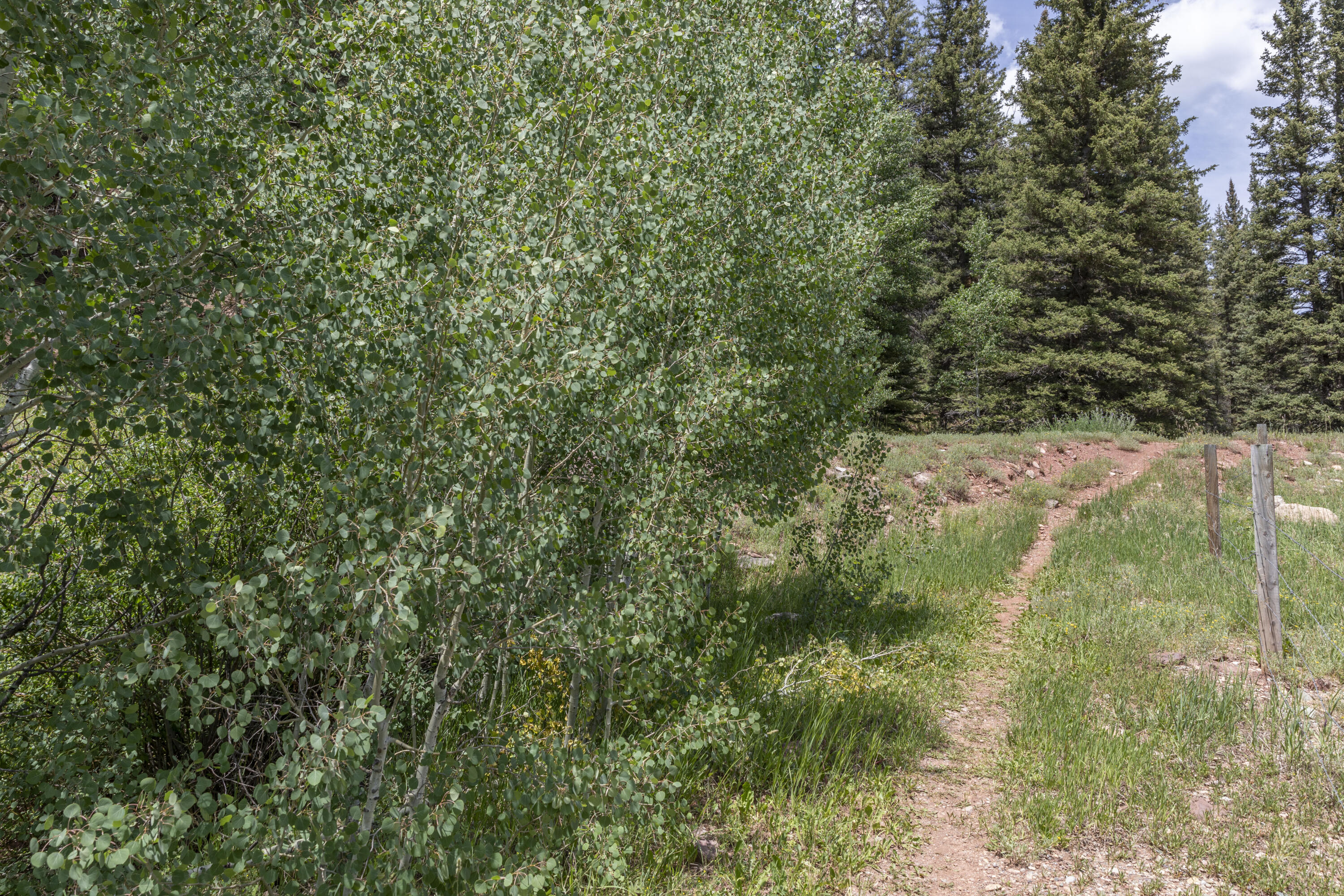 TBD Highway 145