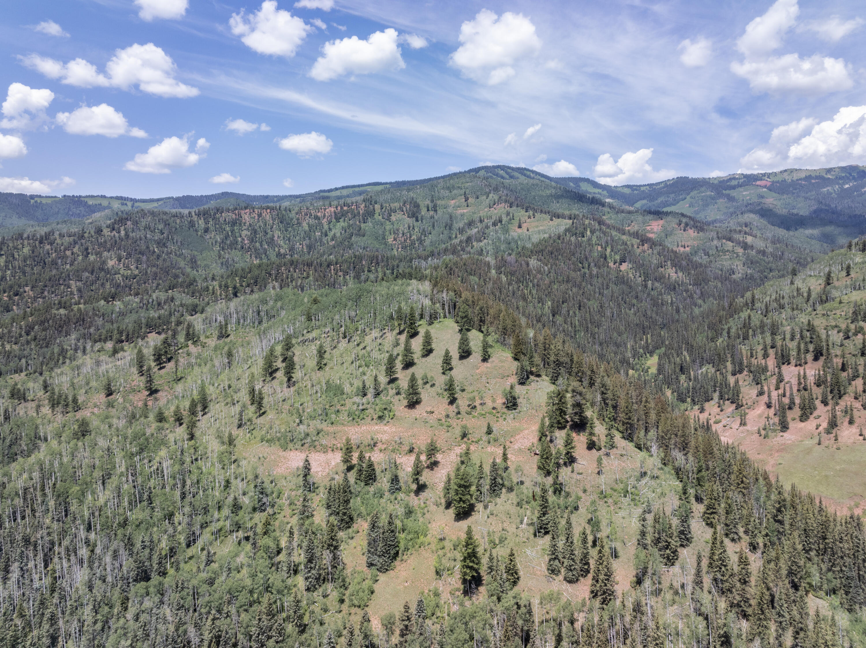 TBD Highway 145