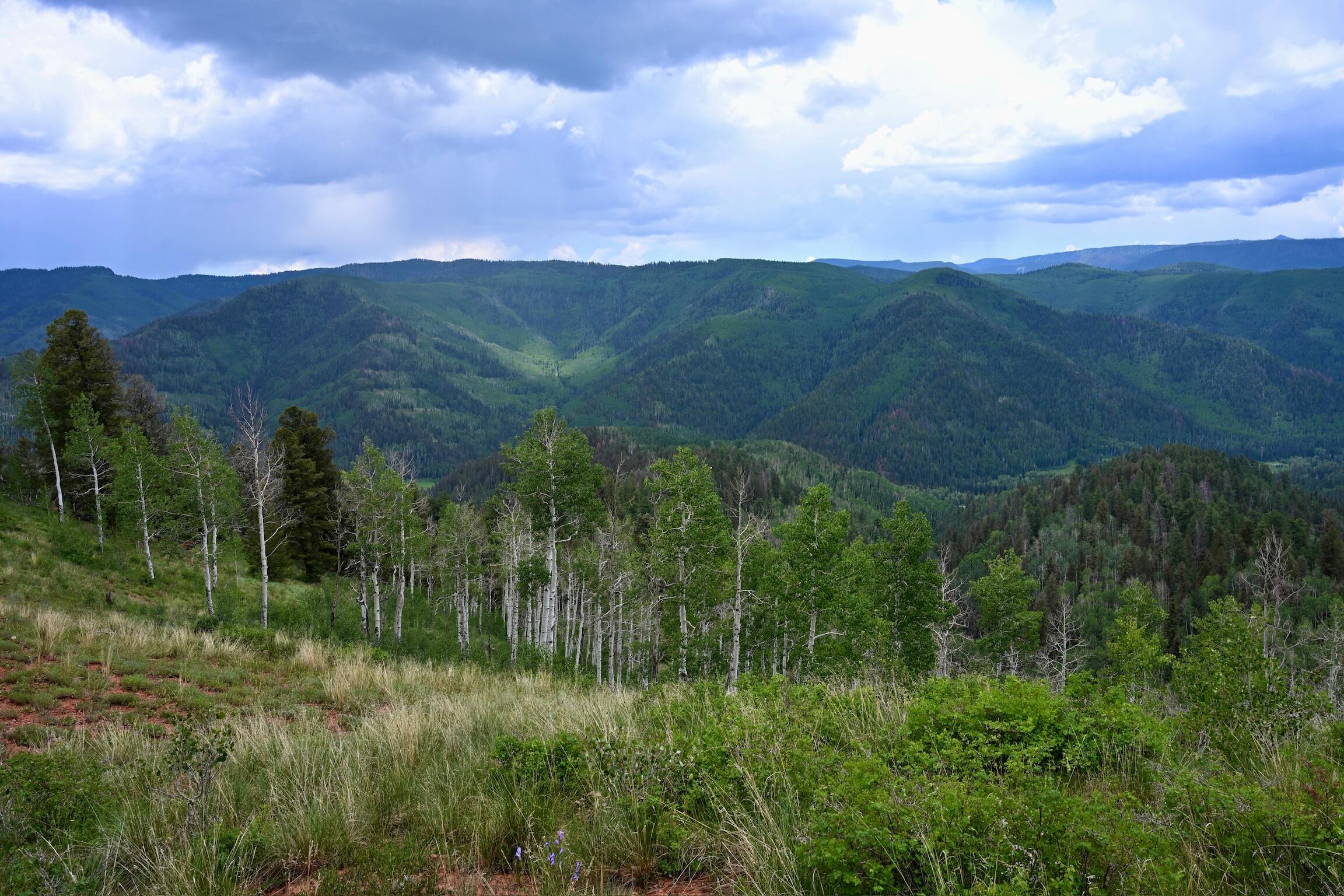 TBD Highway 145