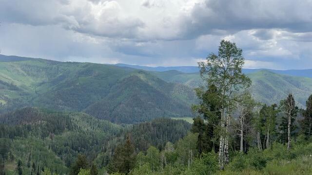 TBD Highway 145