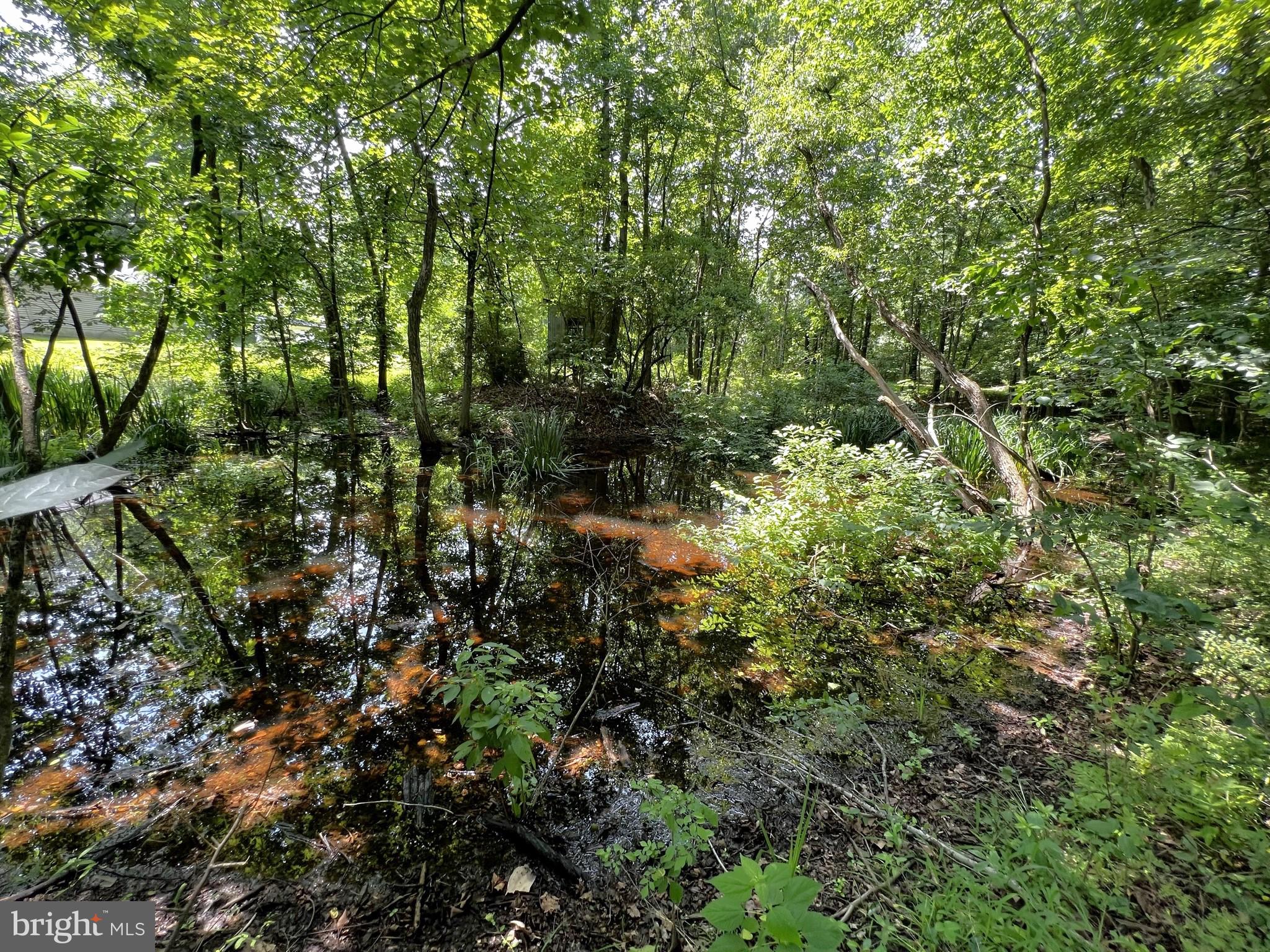 851 Creek Rd