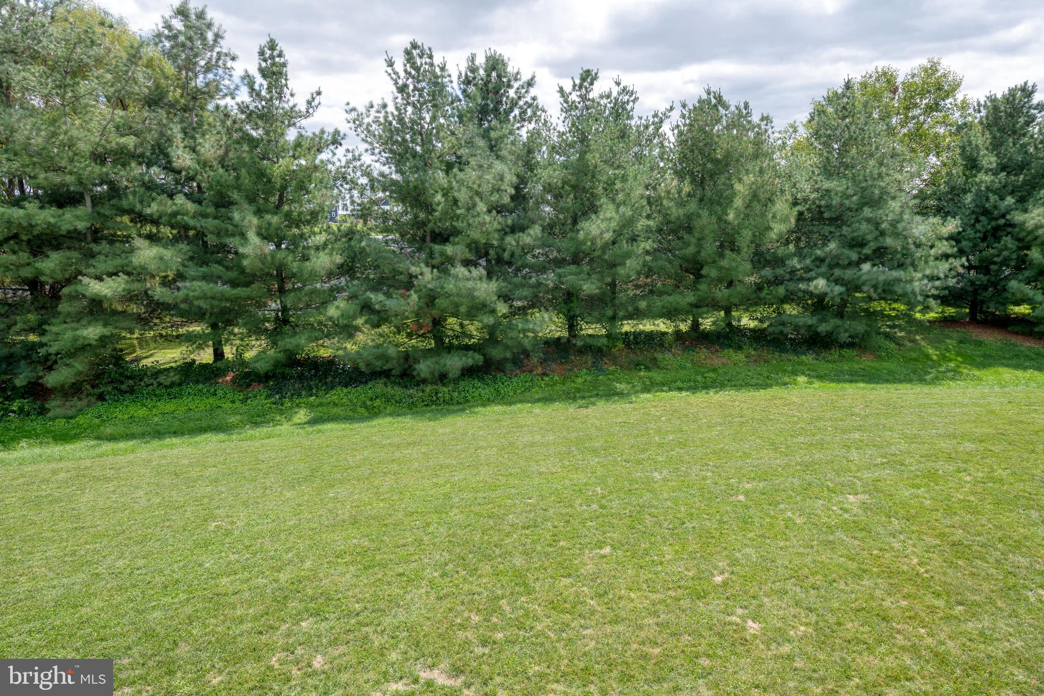 1046 Cambridge Dr