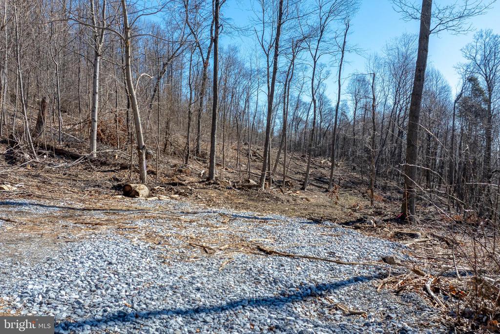 Lot #0 Daub Ln