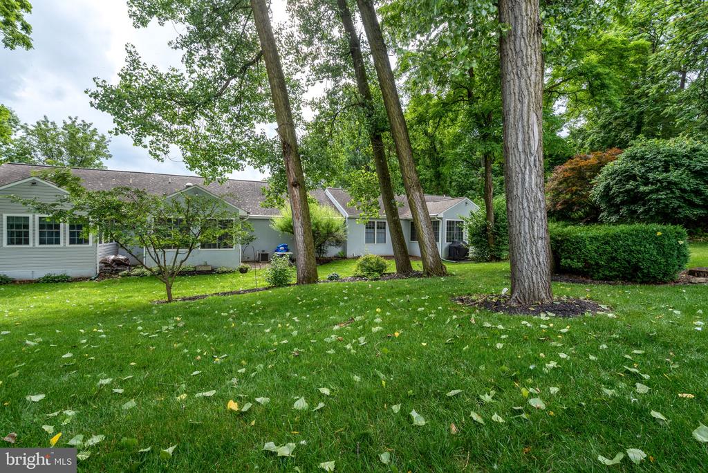 613 Mulberry Ln