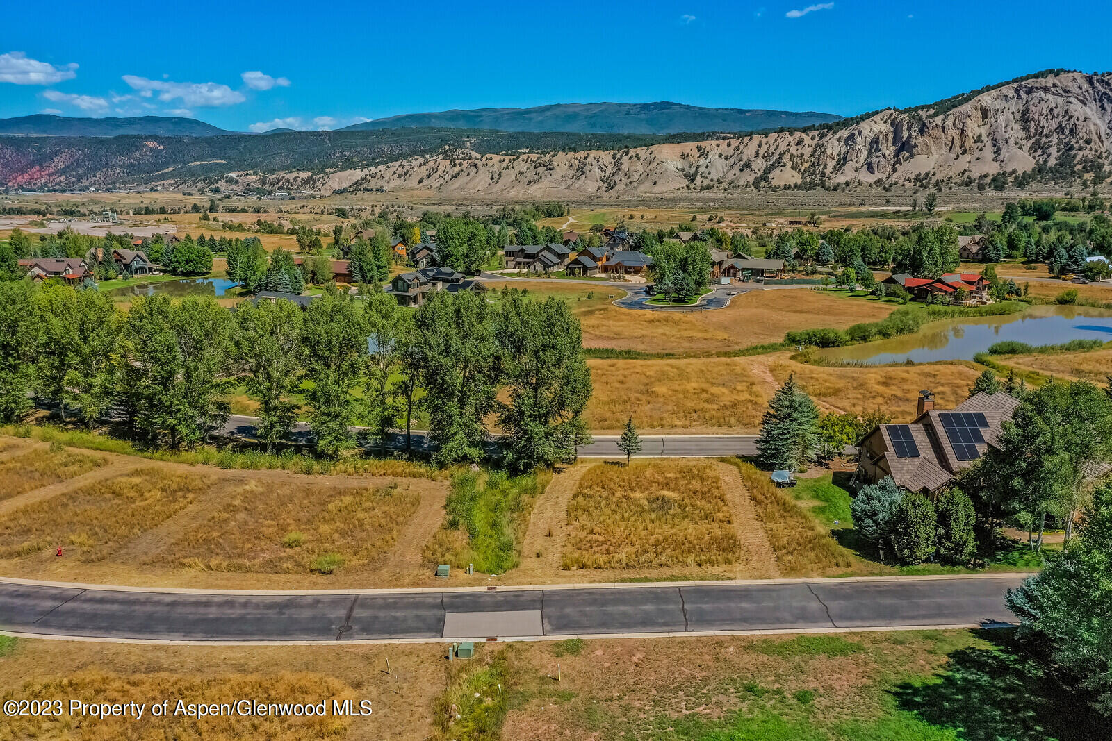 208 Golden Bear