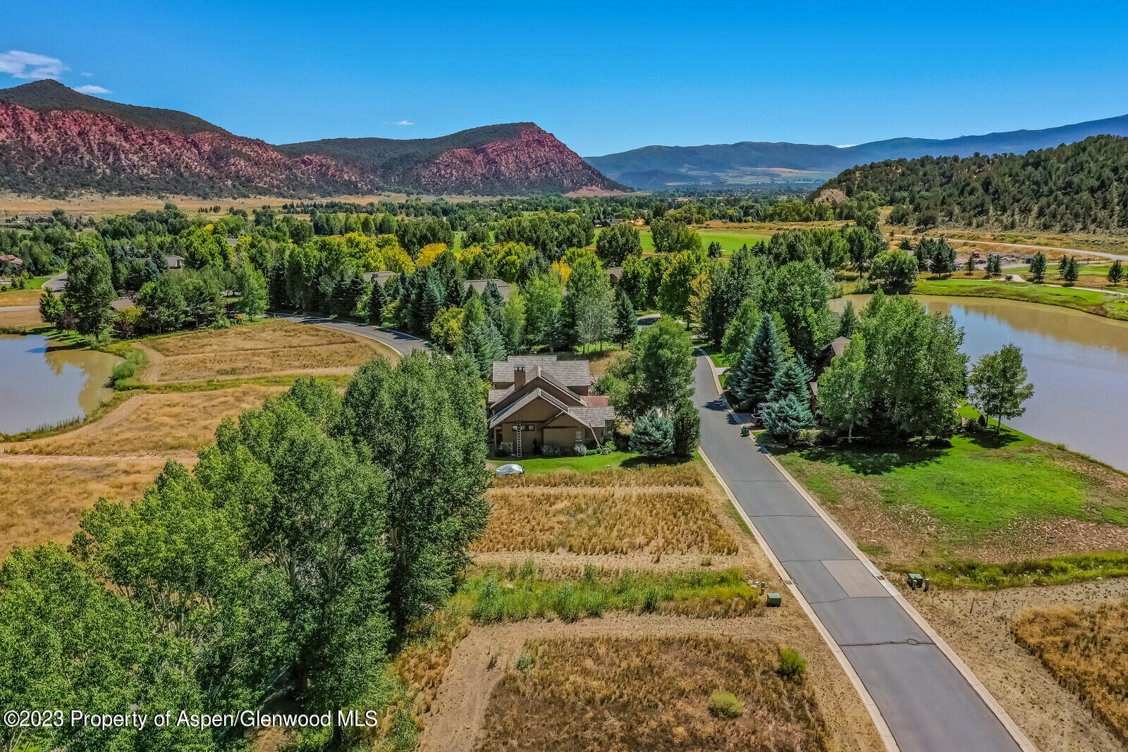 208 Golden Bear