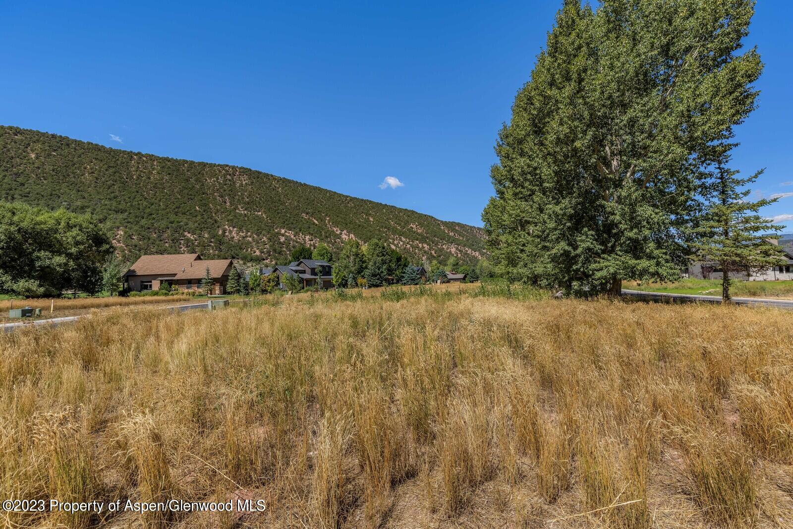 208 Golden Bear