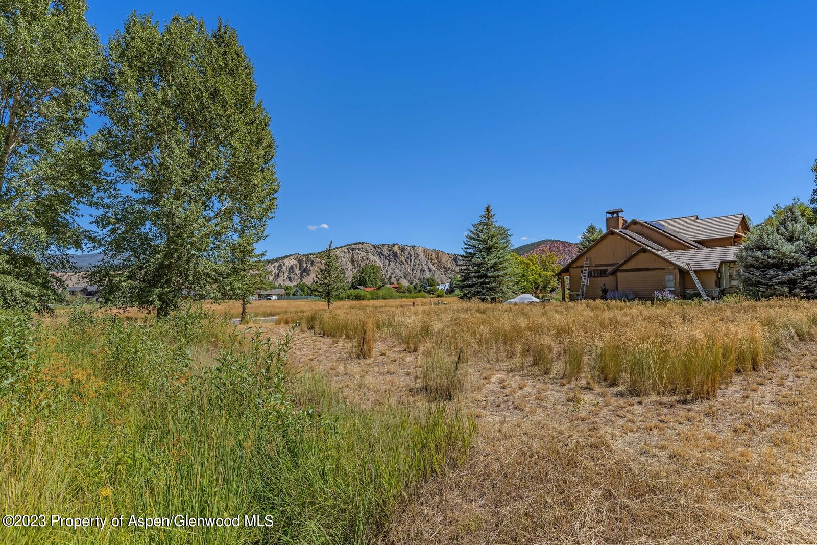 208 Golden Bear