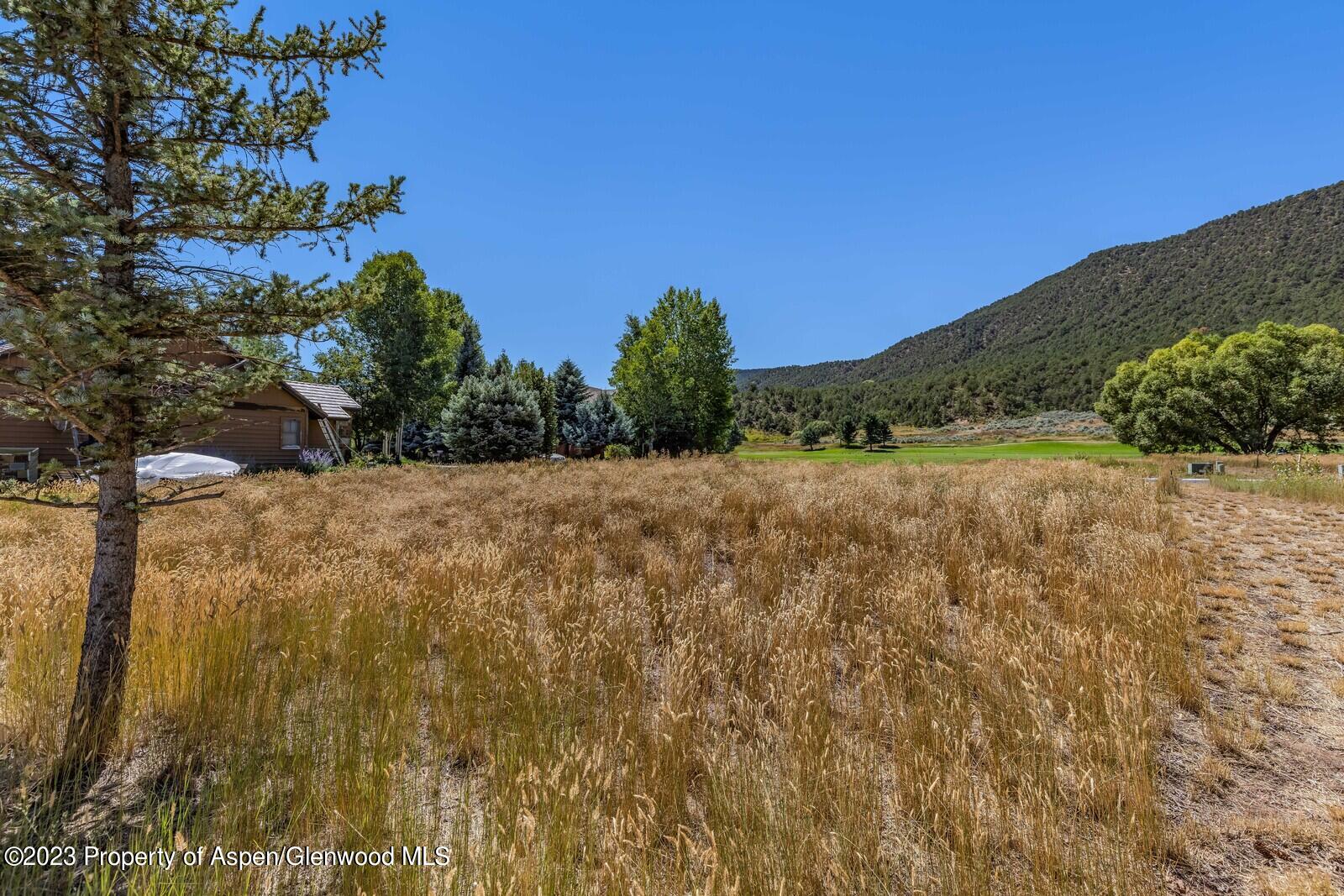 208 Golden Bear