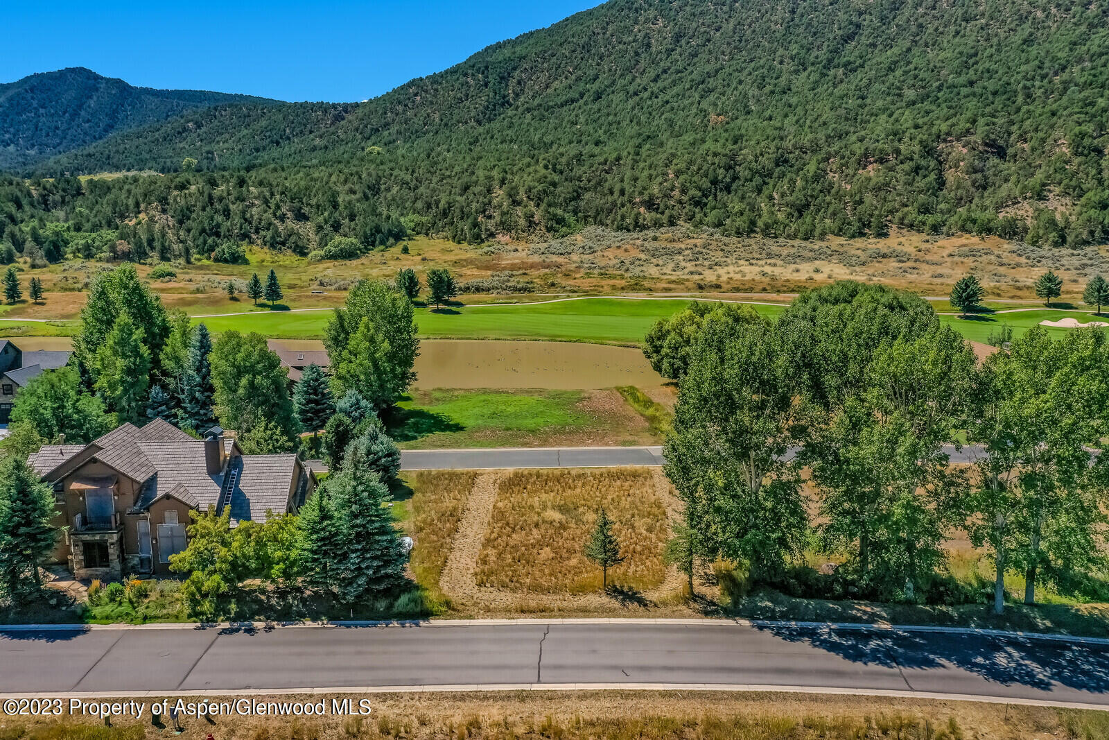 208 Golden Bear