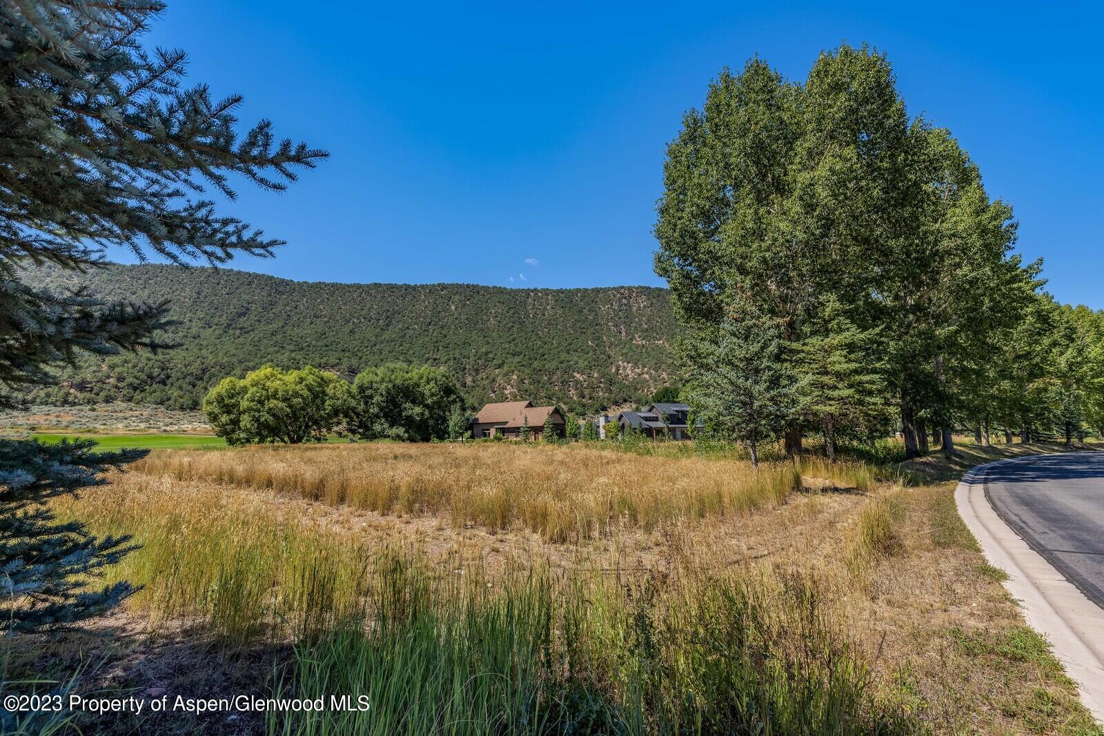 208 Golden Bear