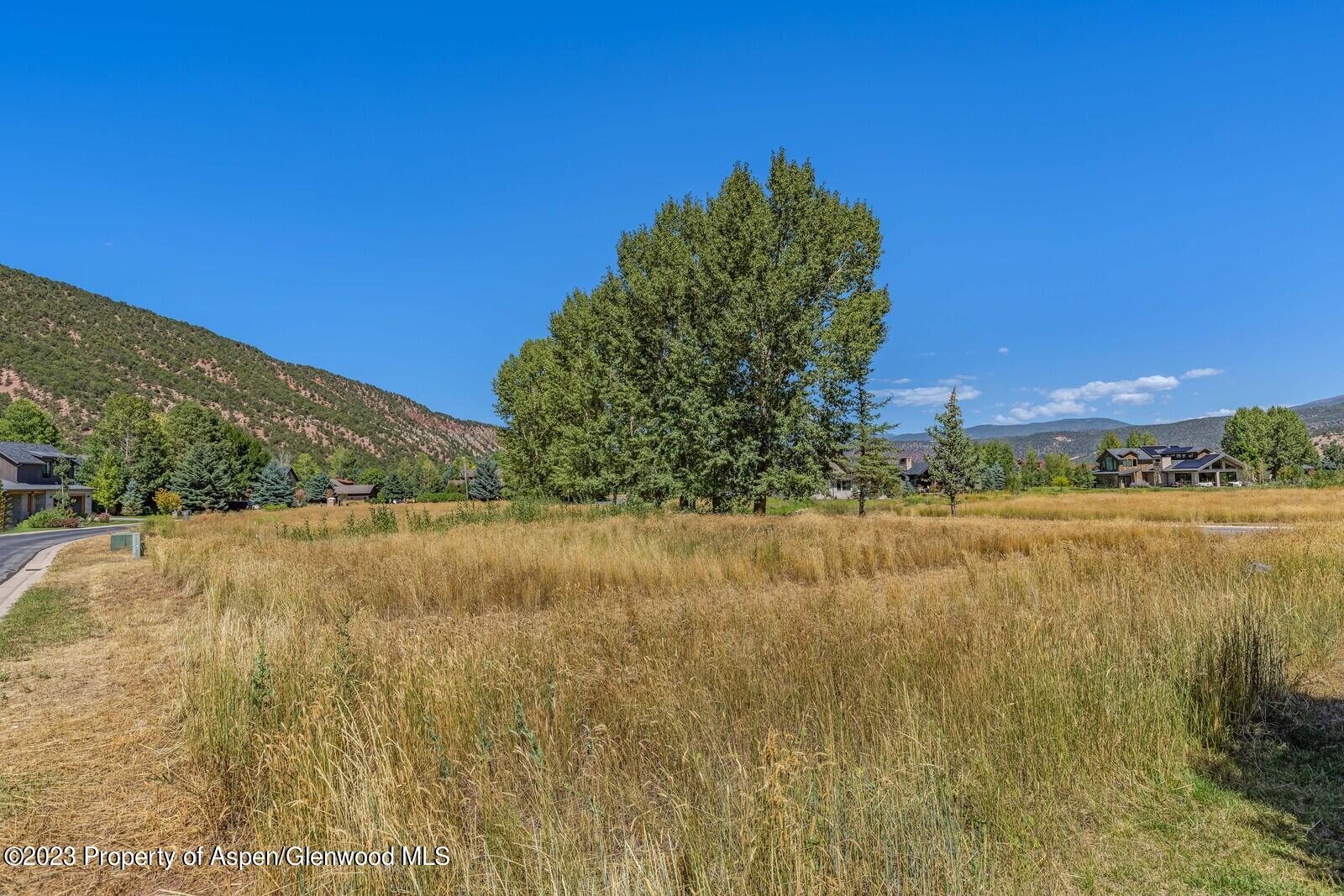 208 Golden Bear