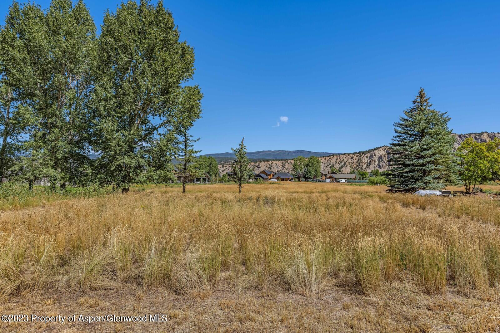 208 Golden Bear