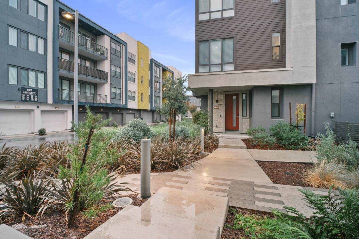 3713 Vision Common 1007