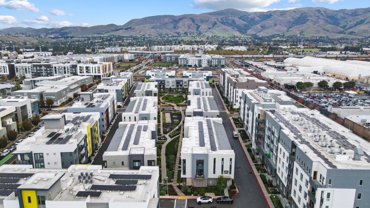 3713 Vision Common 1007