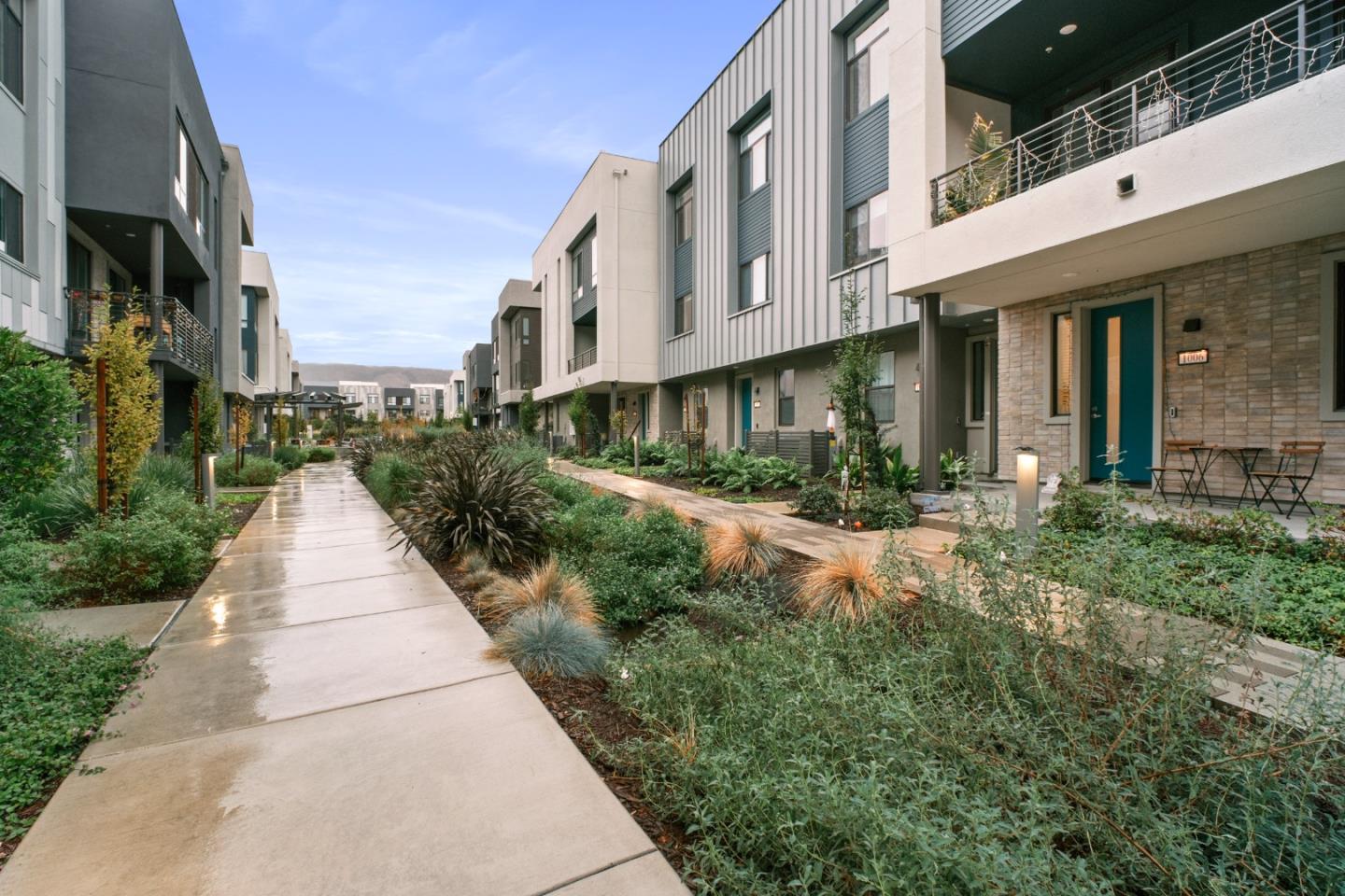 3713 Vision Common 1007