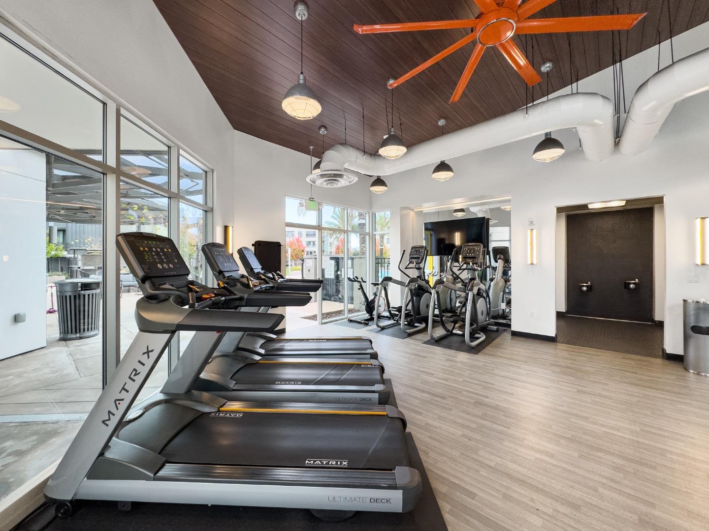 3713 Vision Common 1007