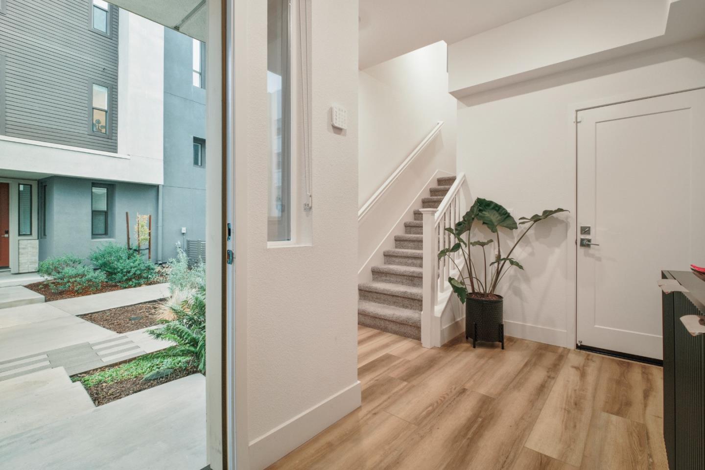 3713 Vision Common 1007