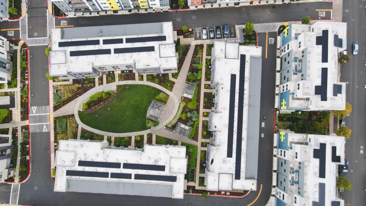 3713 Vision Common 1007