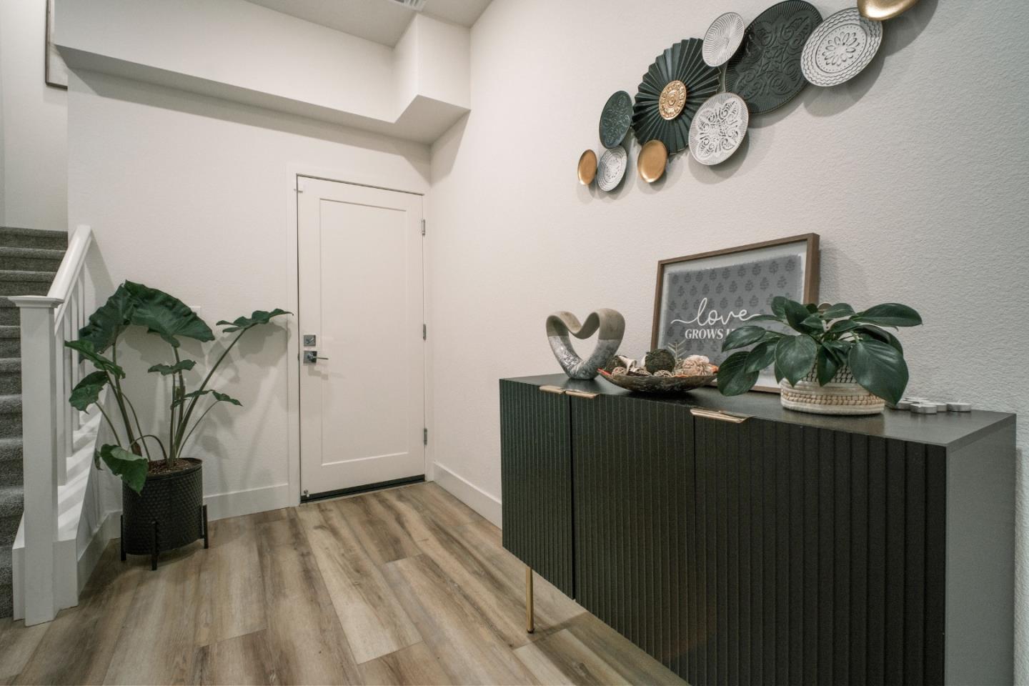 3713 Vision Common 1007