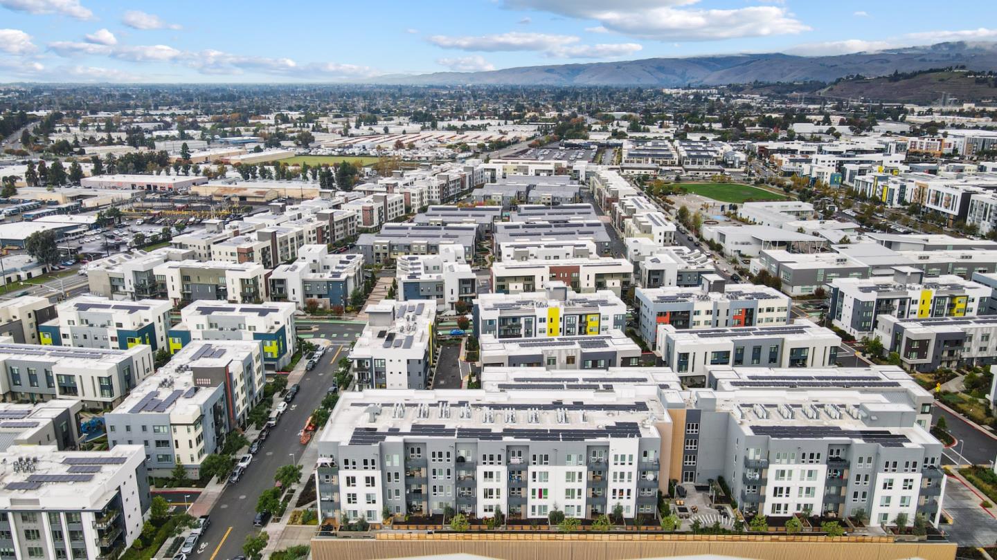 3713 Vision Common 1007