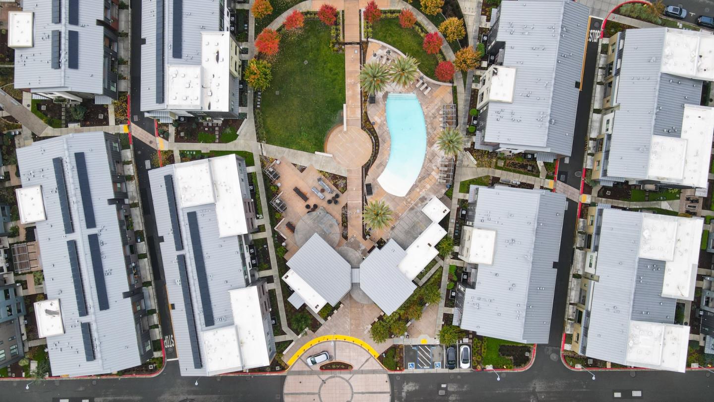 3713 Vision Common 1007