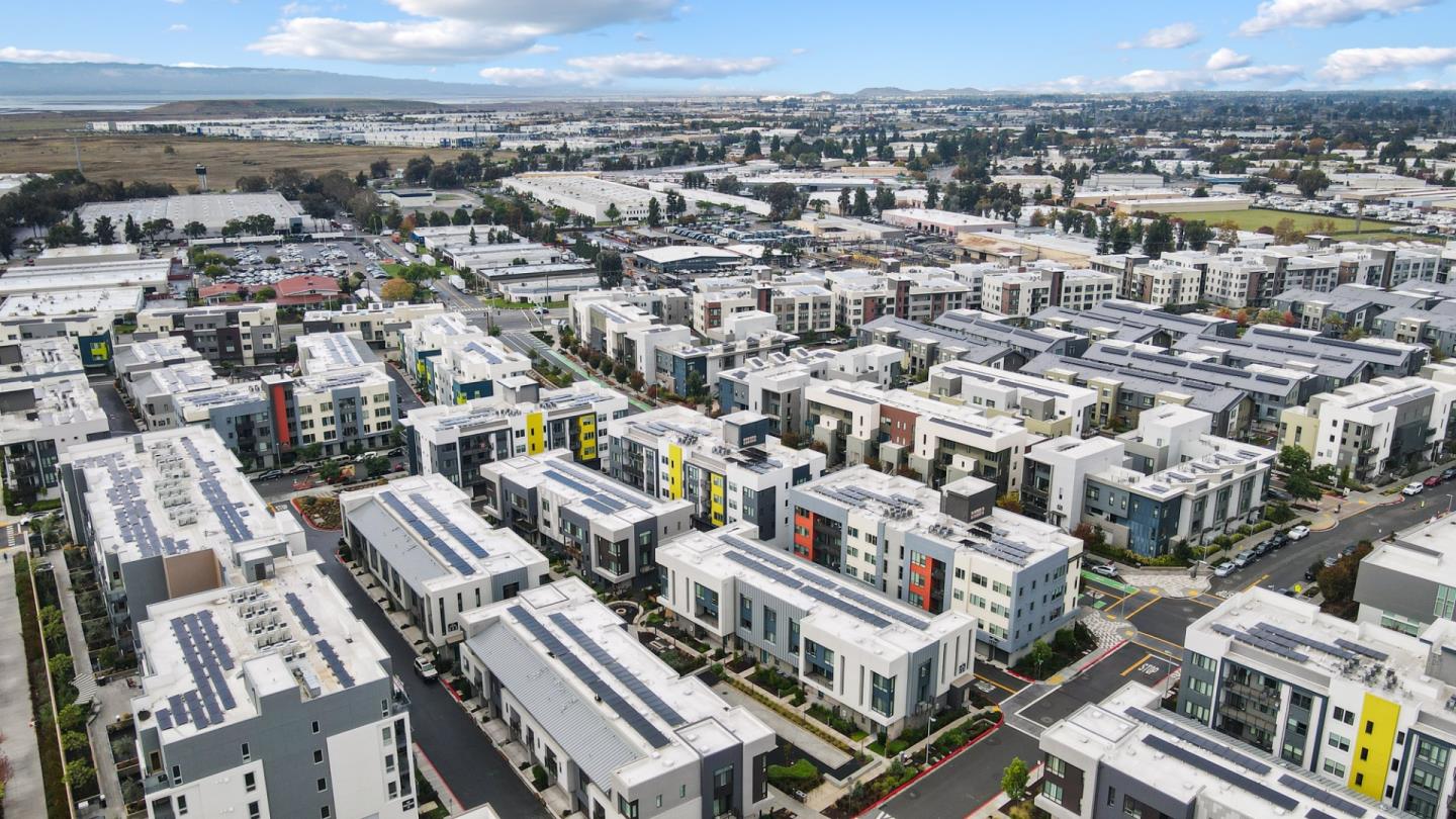 3713 Vision Common 1007