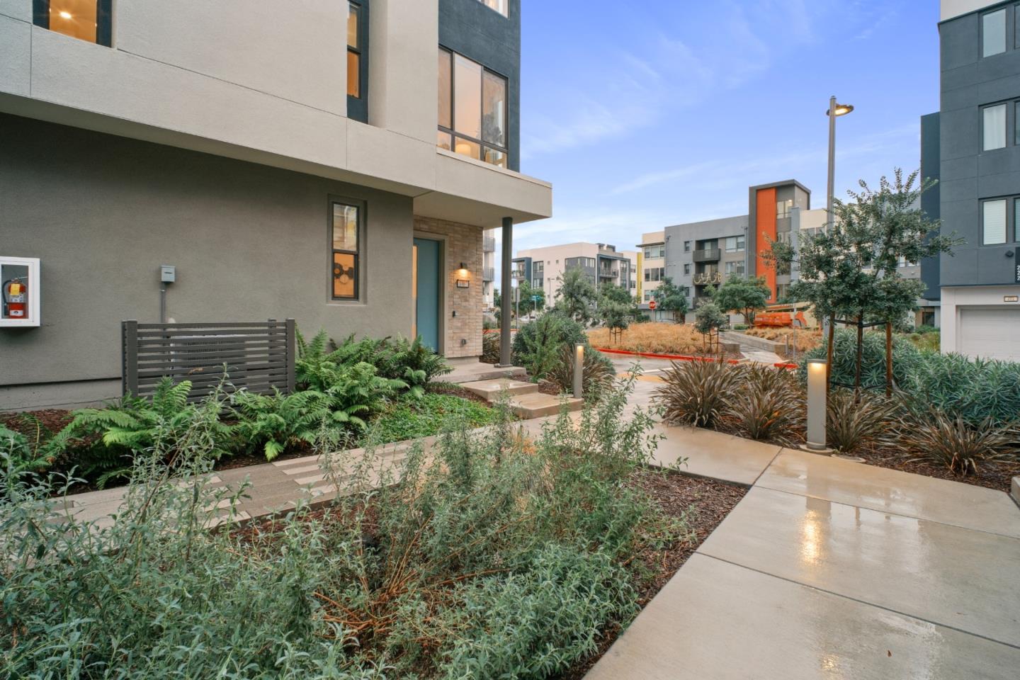 3713 Vision Common 1007