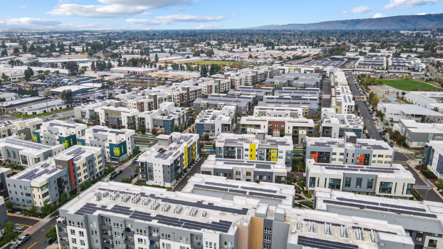 3713 Vision Common 1007