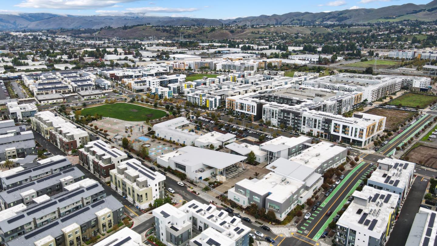 3713 Vision Common 1007