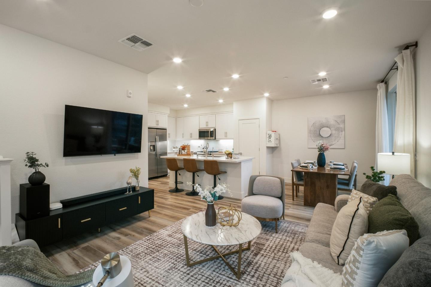 3713 Vision Common 1007