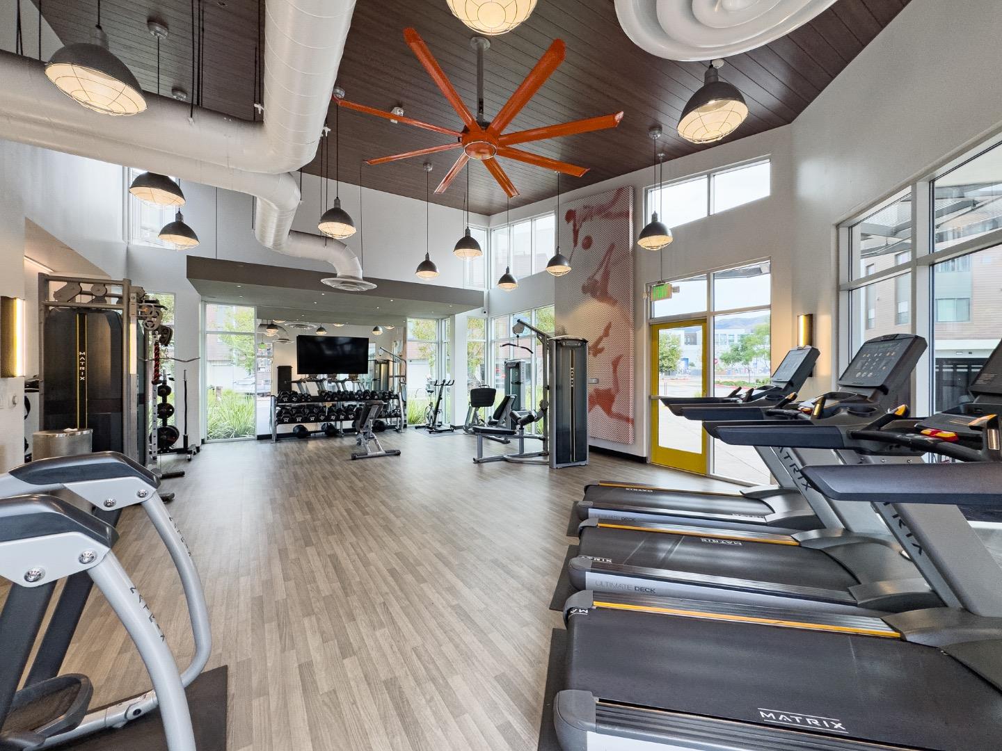 3713 Vision Common 1007