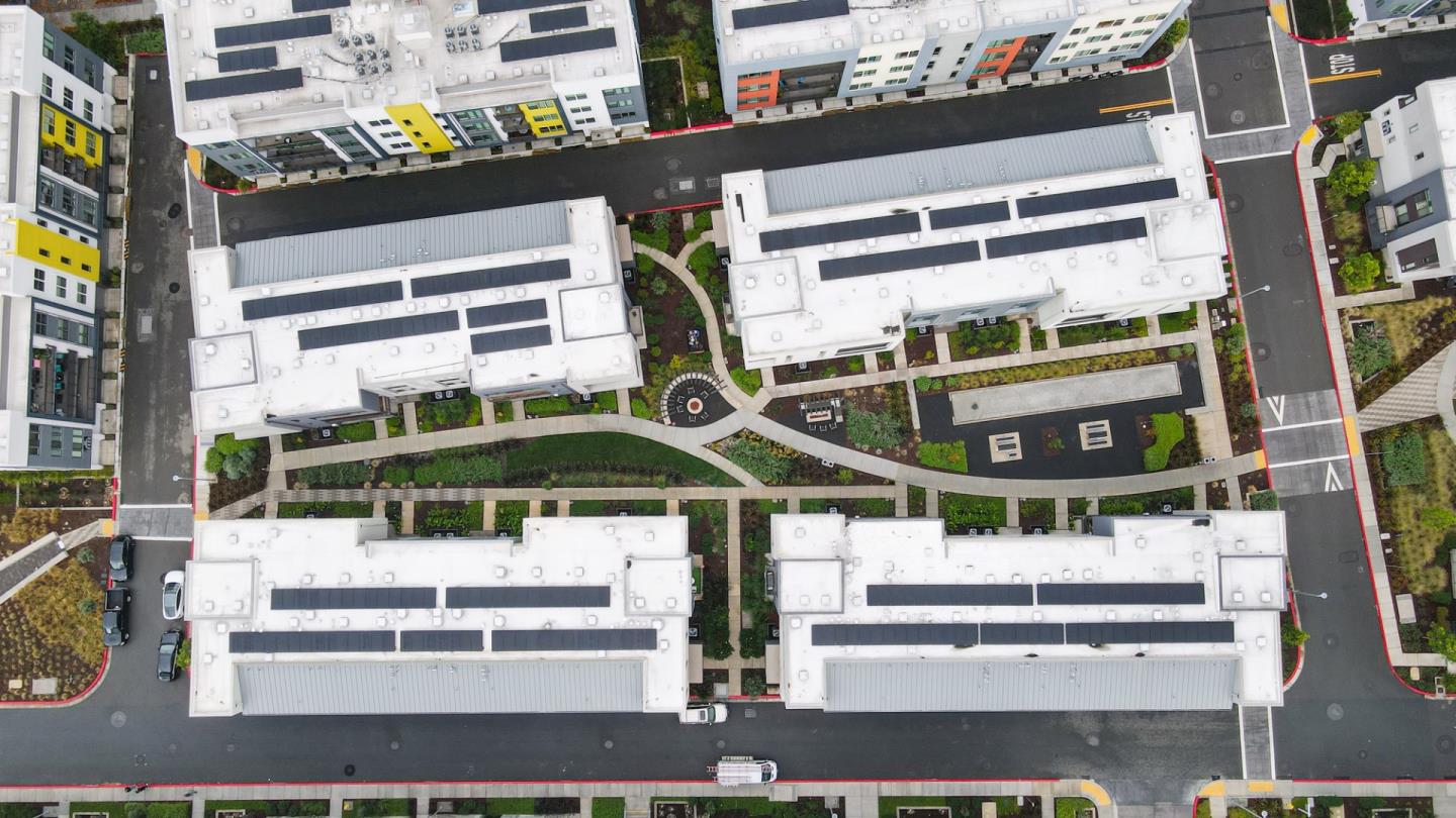 3713 Vision Common 1007