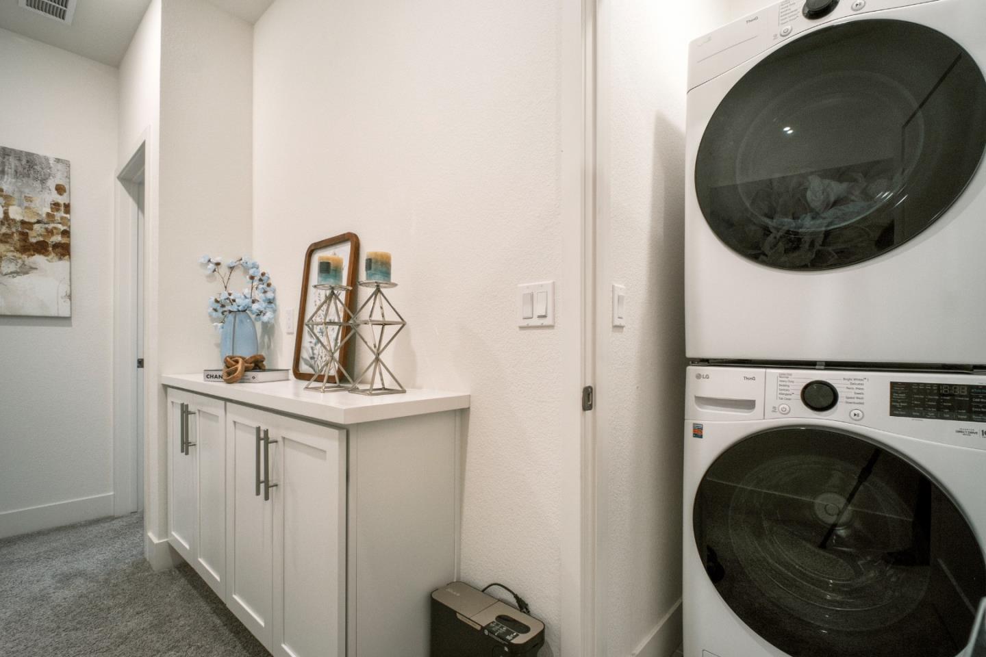 3713 Vision Common 1007