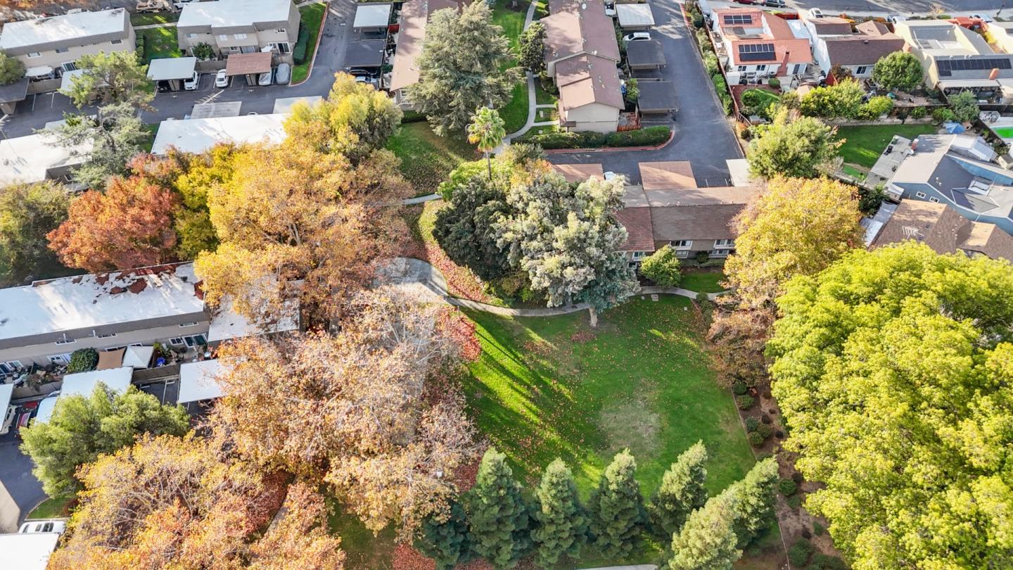 5393 Palm Grove Court