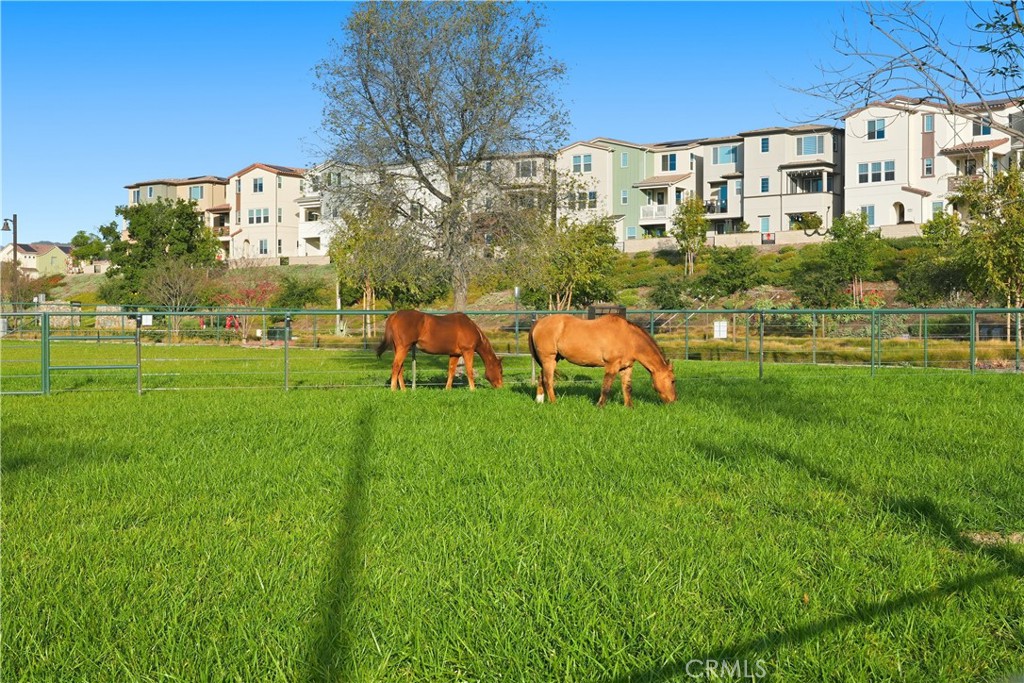361 Gelding Way
