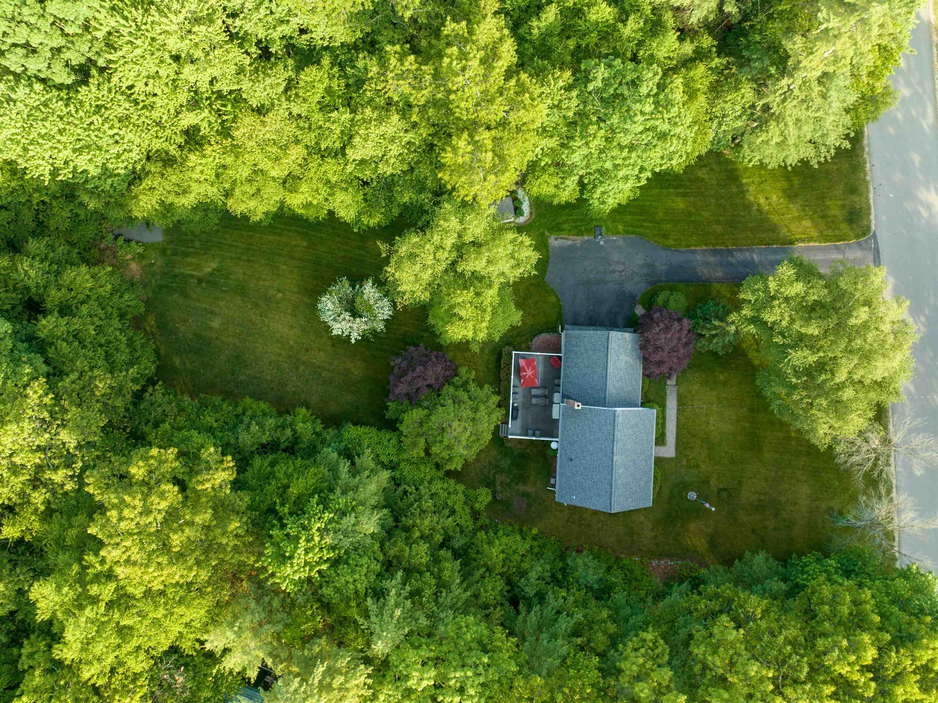 7 Williamine Drive