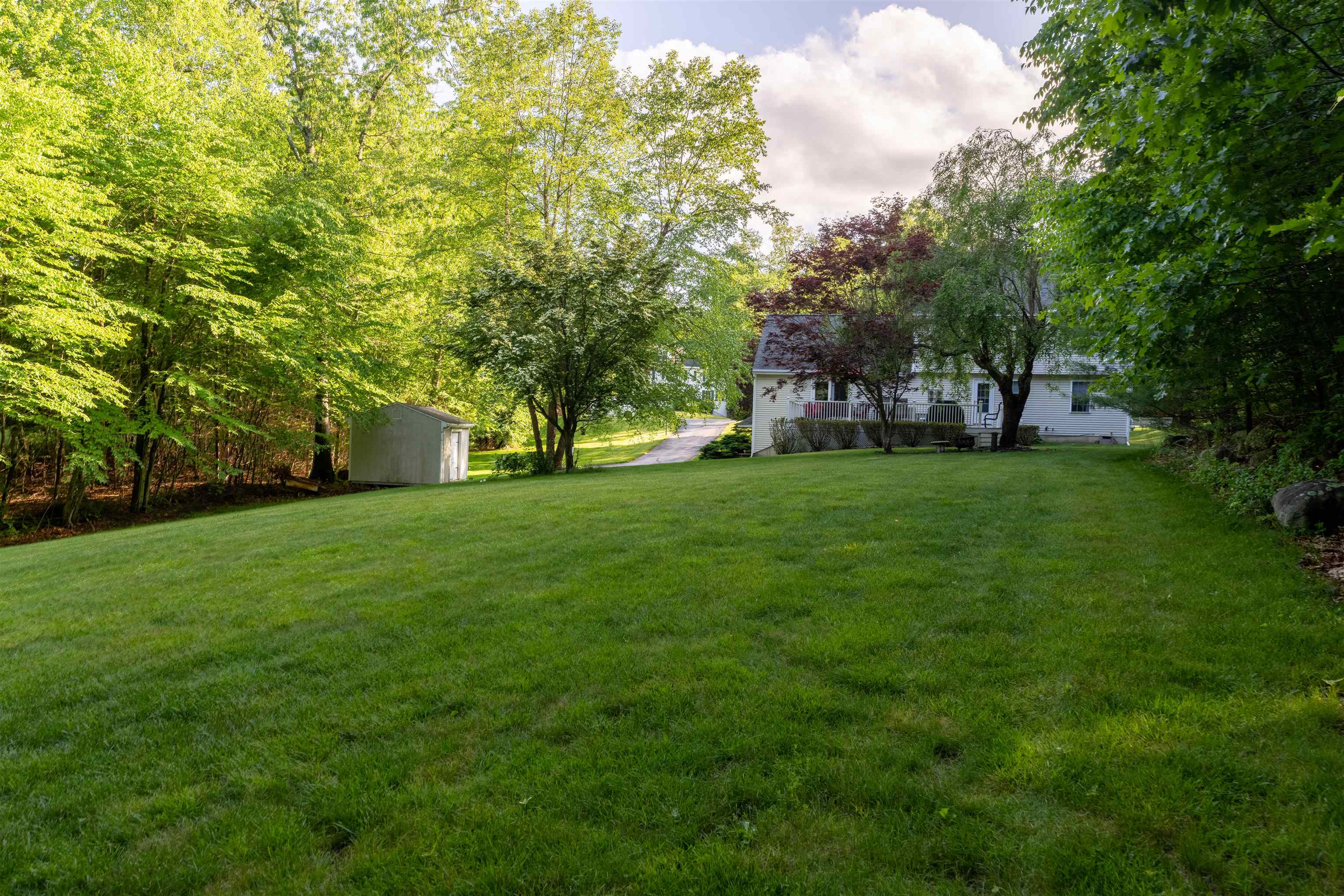 7 Williamine Drive