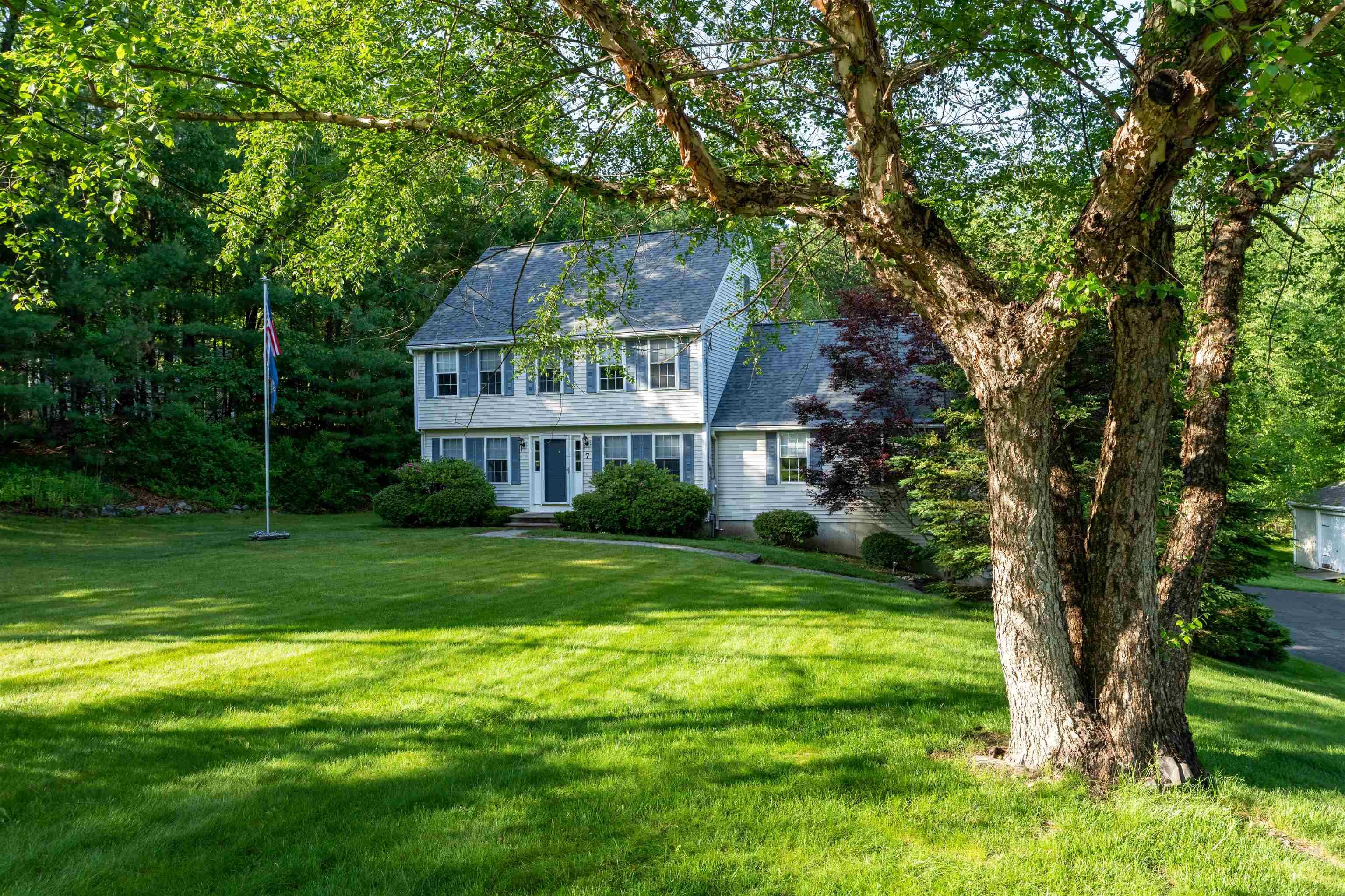 7 Williamine Drive